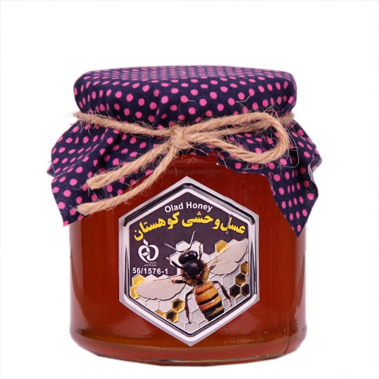 عسل وحشی کوهستان ۴۰۰ گرمی